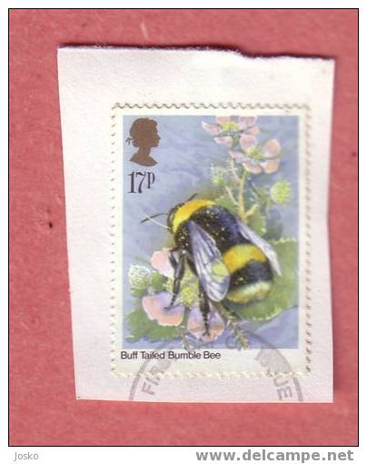 Insect - Insects - Insecte - Bee - Abeille - Bees - Abeilles - England Used Stamp On Paper - Honeybees