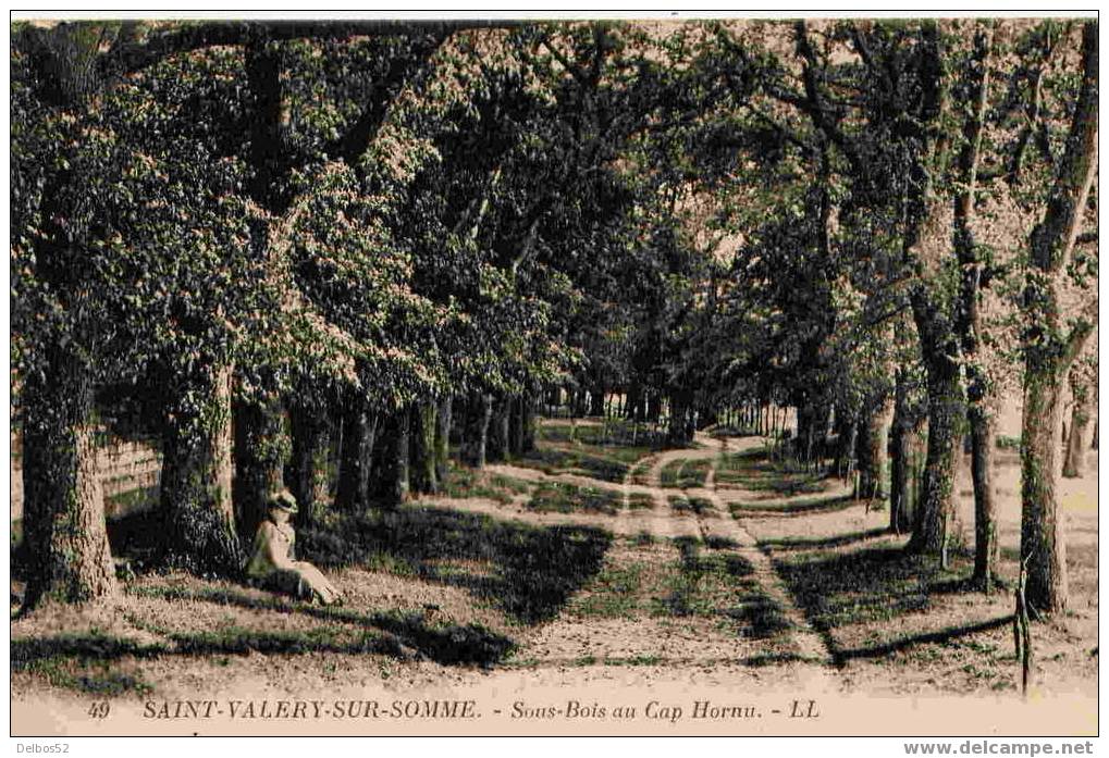 49.- Saint-Valéry-sur-Somme - Sous Bois Au Cap Hornu - Saint Valery Sur Somme