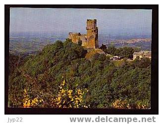 Jolie CP Puy De Dôme 63 Auvergne Château De Tournoel En Limagne - Neuve - Volvic