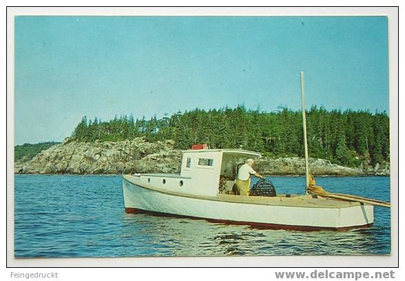 D 2390 - Lobsterman On The Coast Of Maine - CAk, Gelaufen - Autres & Non Classés