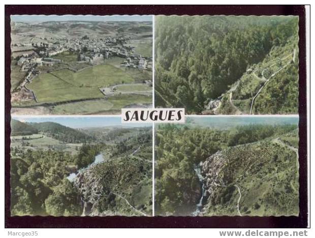 005199 Saugues Vue Panoramique Les Gorges De L´allier édit.sofer N°100 Multivue - Saugues