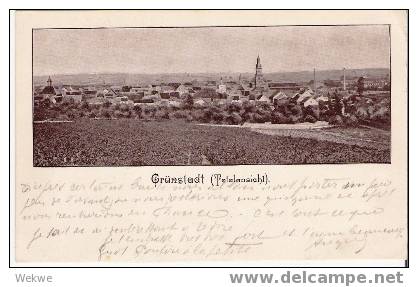 BY054 / Grünstadt/Rheinpfalz – 1918 – Totalansicht, Beschrieben - Gruenstadt
