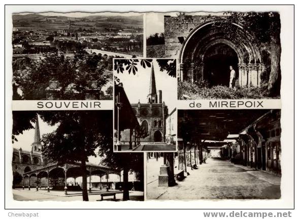 Mirepoix - Vue Générale, Fontaine Des Cordeliers, Halle Aux Grains, Les Couverts - Mirepoix