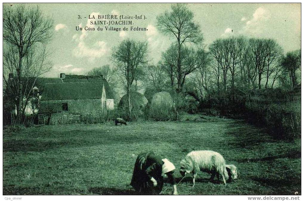 44 LA BRIERE St Joachim, Coin Du Village De Fédrun, Animée, Ed Nozais 3, 192? - Saint-Joachim