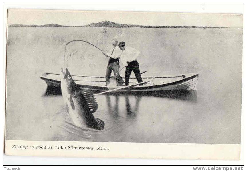 M730 - Fishing Is Good At Lake Minnetonka - MINNESOTA  -  U.S.A. - Angelsport