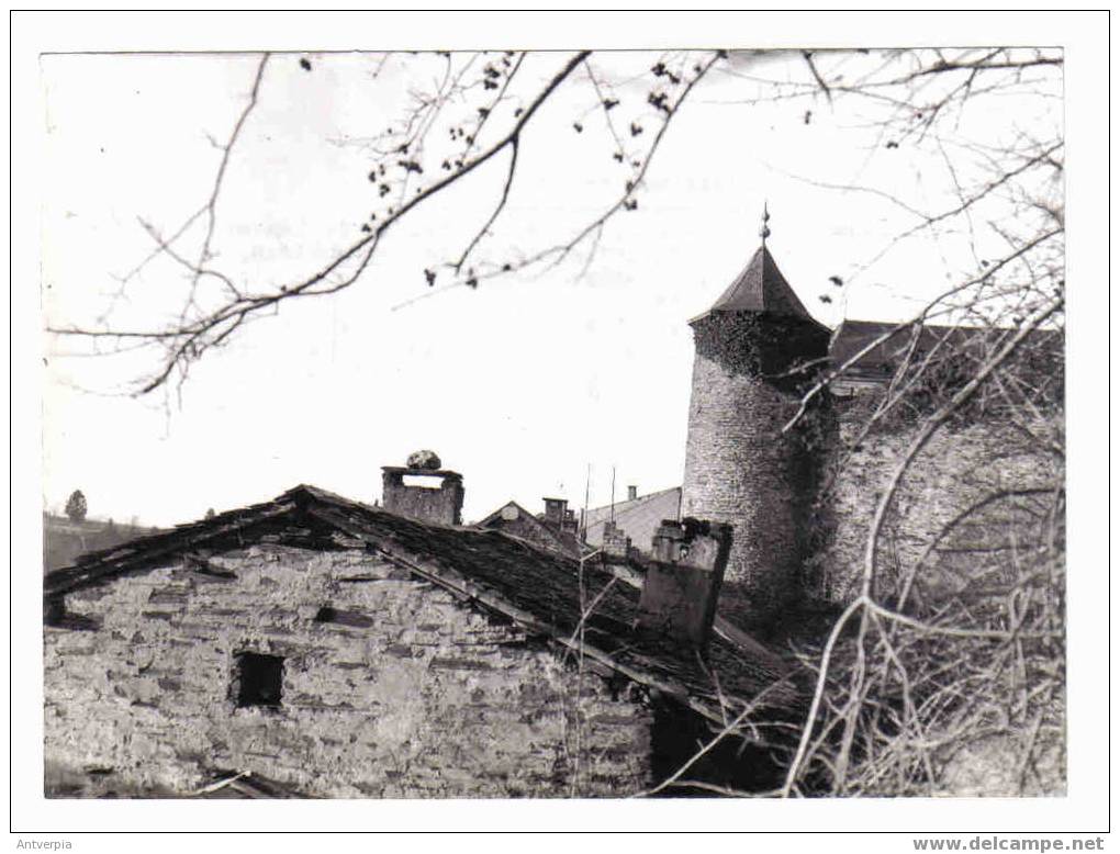 Neufchateau Griffon Toren (echte Foto Belgapresse) 18 Op 13 - Neufchâteau