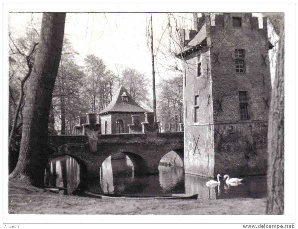 St-niklaas Walburgiskasteel (echte Foto Belgapresse 18 Op 13) - Sint-Niklaas