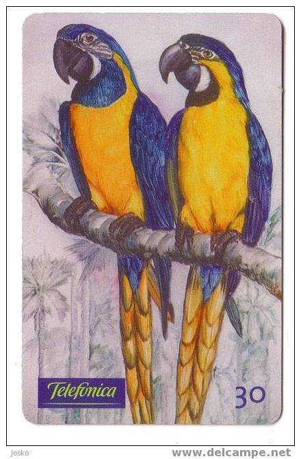 PARROTS - Brazil Old Rare Card * Parrot Perroquet Papagei Papageien Perroquets Pappagallo Papagaio Loro Pappagalli Loros - Brésil