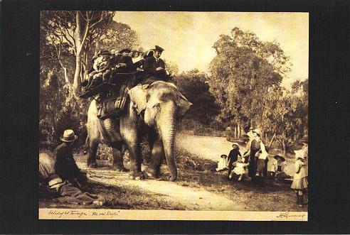 Elephant Ride, Toronga Park Zoo, Australia - Elefantes