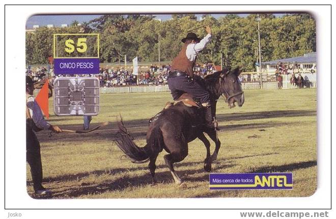 Uruguay - Horse - Caballo - Cheval - Cavallo - Chevals - Pferd - Horses - Chevales - RODEO - Uruguay