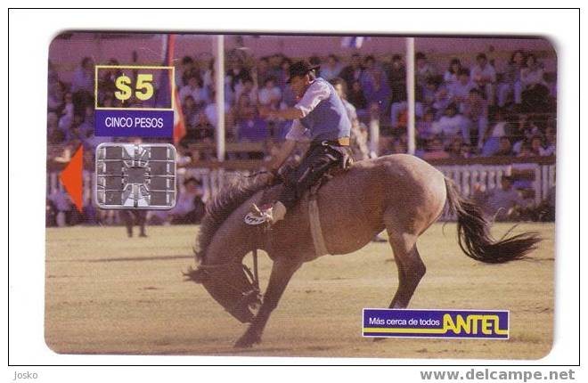 Uruguay - Horse - Caballo - Cheval - Cavallo - Chevals - Pferd - Horses - Chevales - RODEO - Uruguay