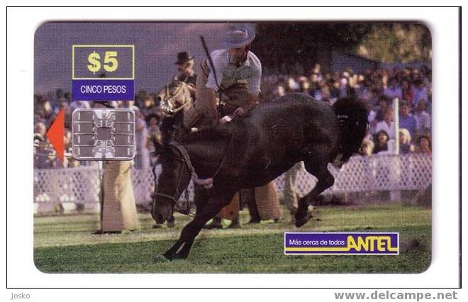 Uruguay - Horse - Caballo - Cheval - Cavallo - Chevals - Pferd - Horses - Chevales - RODEO - Uruguay