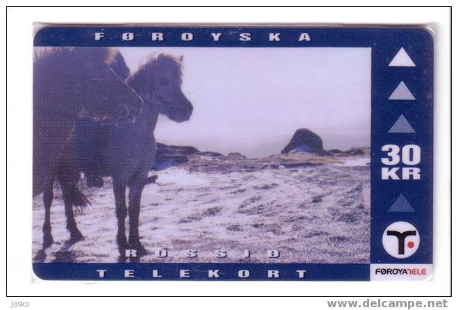 FAROESE HORSE ( Faroe Islands ) **  Cheval - Caballo - Cavallo - Chevals - Pferd - Horses - Chevales - Feroe Iles - Färöer I.