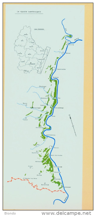 D´WAISTROOS - THE LUXEMBOURG MOSELLE AND ITS WINES - Europe