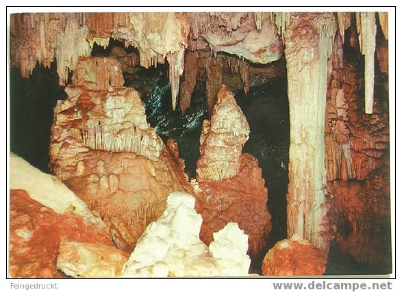 D 2426 - Höhlen & Grotten - Invito Alla Sardegna. Alghero. Grotte Di Nettuno - CAk - Other & Unclassified