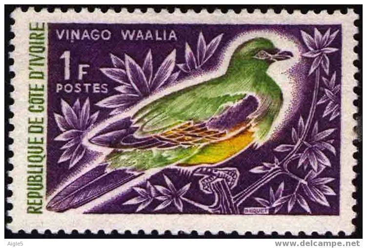 Cote D'Ivoire. Oiseau . Pigeon Vert - Gallinacées & Faisans