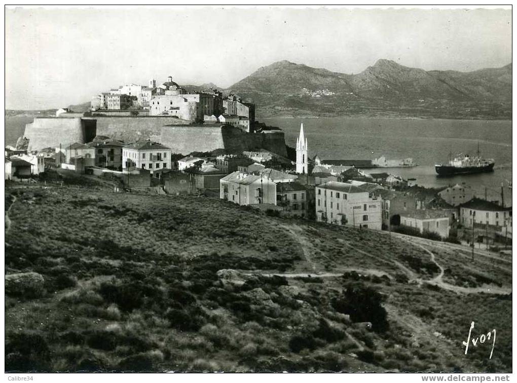 CORSE CALVI  La Citadelle Et Le Golfe - Calvi