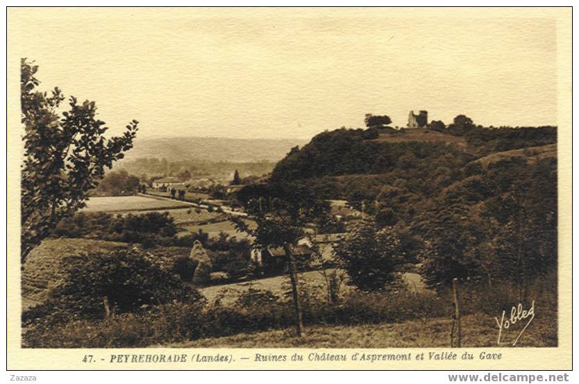 47 Peyrehorade Ruines Du Cateau D'Aspremont Et Vallée Du Gave - Peyrehorade