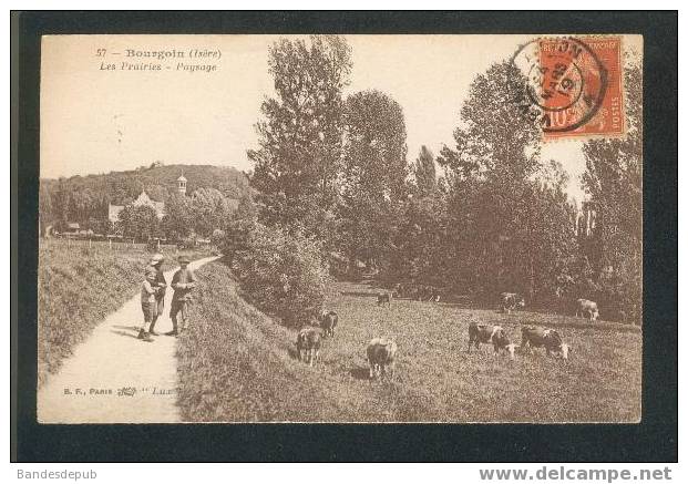 Bourgoin - Les Prairies - Paysage (animée, Vaches, B.F 57) - Bourgoin