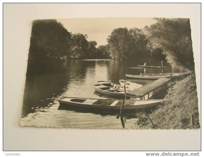 (110) --1-- Carte Postale Sur Vetheuil Les Petits Bras Vers Moisson - Vetheuil