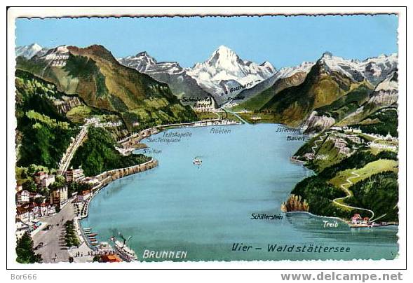 OLD SWISS COLOR POSTCARD - VIER - Waldstattersee - Wald