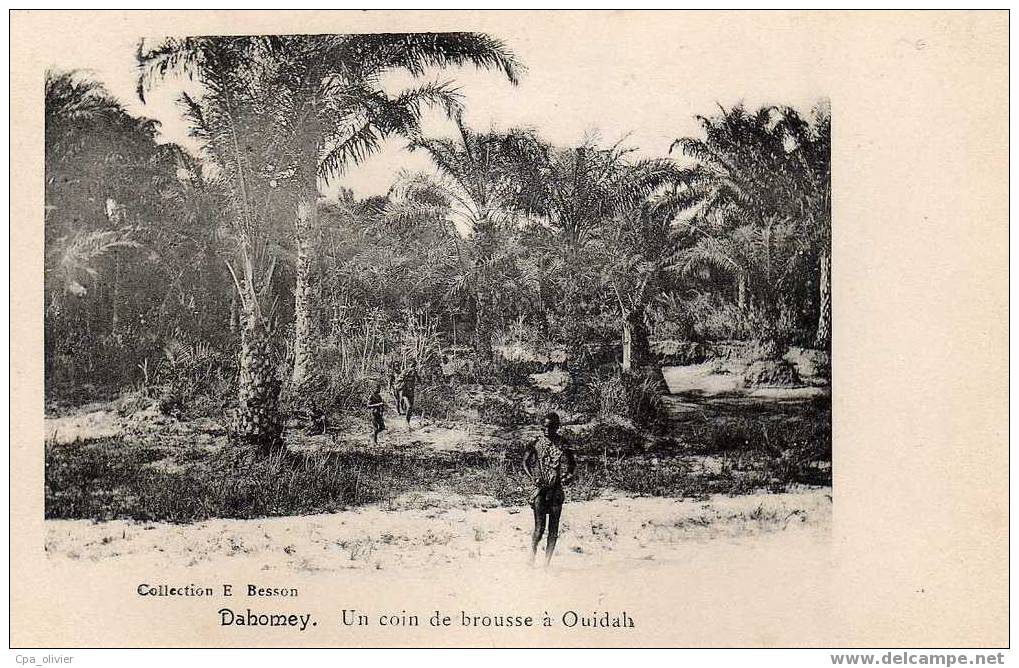 DAHOMEY Ouidah, Coin De Brousse, Animée, Ed Besson, 191? - Dahome