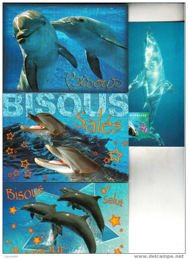 3 X Carte De Dauphin + 1 Requin - 3 Dolphin Postcard  +1 Shark - Dolfijnen