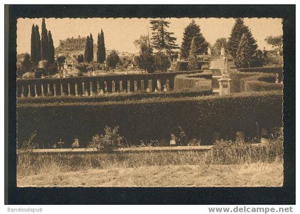 Le Cimetière, L'Allée Centrale Et Vue Générale Sur FORCALQUIER (Collection Gras) - Forcalquier