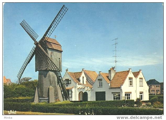 Wenduine - De Molen - Wenduine