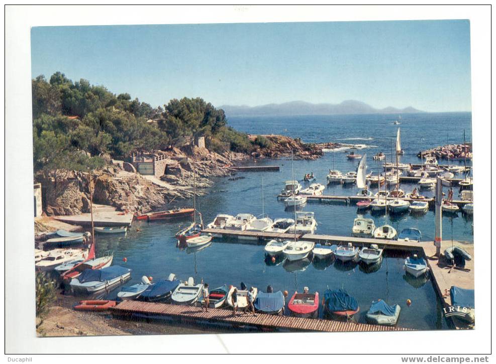 LES ISSAMBRES LE PORT ST FERREOL - Les Issambres