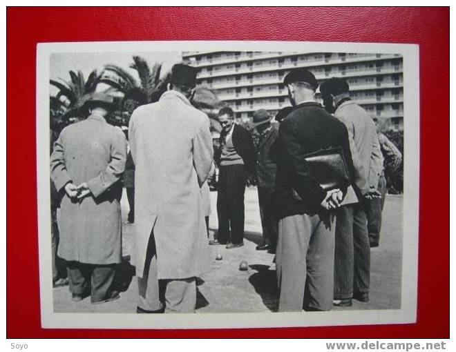 Boules Petanque Algerie Les Locataires Ce Ce HLM Se Retrouvent Sur La Place Pour Les Boules - Jeux Régionaux