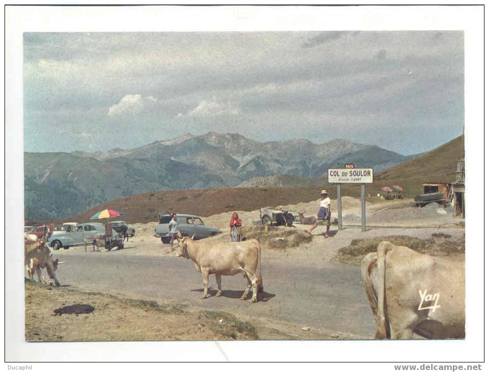 AU COL DU SOULOR - Allevamenti