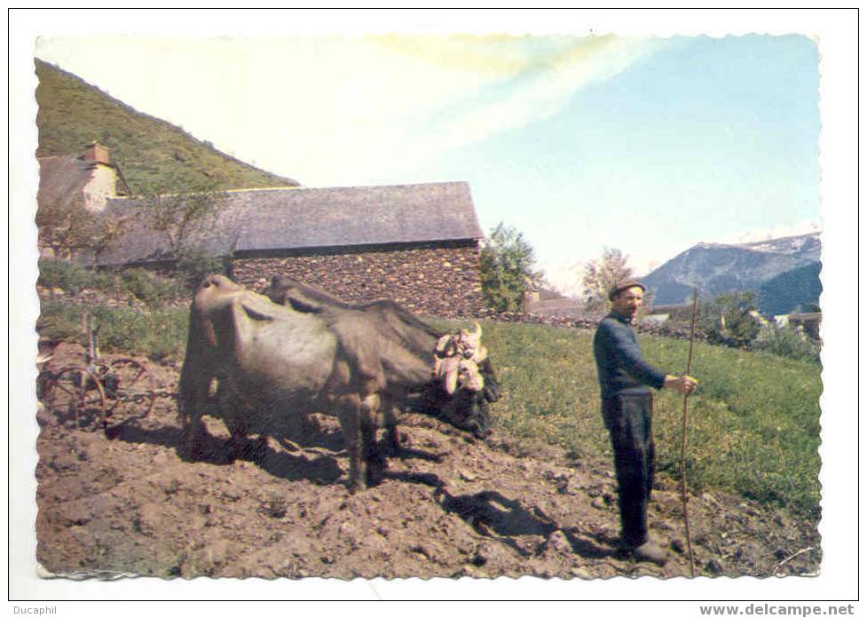 LES PYRENEES PAYSAGE DES HAUTES VALLEES - Attelages