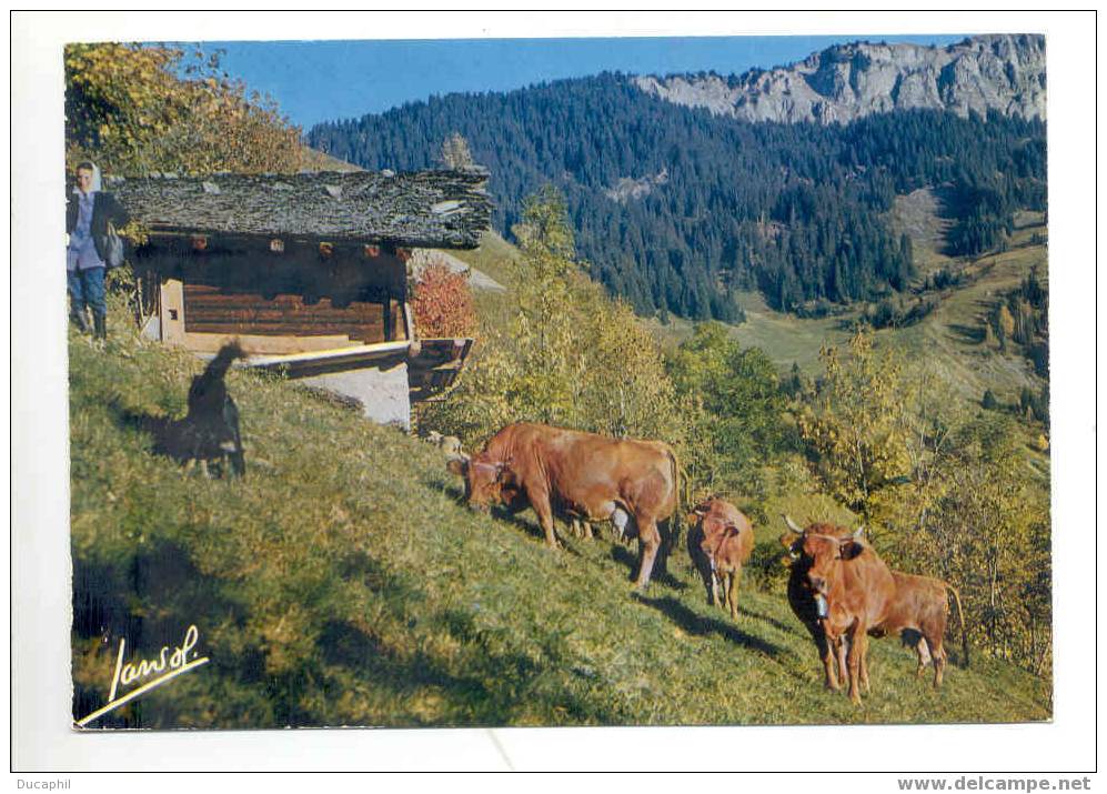 ALPAGES AUX ENVIRONS D ARECHES - Breeding