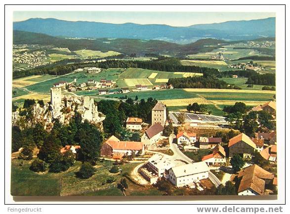 D 2500 - Burgruine Weissenstein Am Pfahl, B. Regen Und Gr. Arber - CAk - Regen