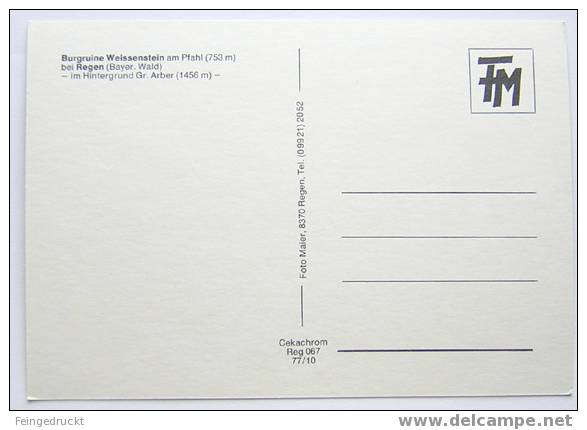 D 2500 - Burgruine Weissenstein Am Pfahl, B. Regen Und Gr. Arber - CAk - Regen