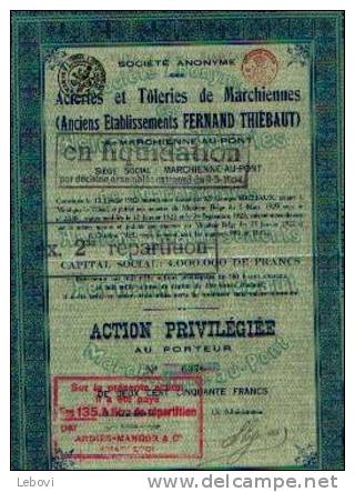 SA Acièries Et Tôleries De Marchiennes (1920) - Industrie