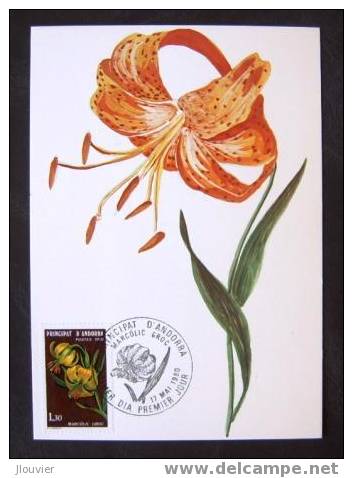 Carte Maximum - Andorre - Fleurs Des Vallées D´Andorre - Lis Des Pyrénées - Cartes-Maximum (CM)