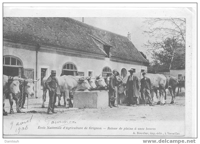 78 // YVELINES / Ecole Nationale D'Agriculture De GRIGNON / Retour De Plaine à Onze Heures / ANIMEE / # - Grignon