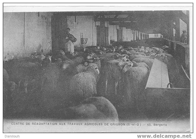 78 // YVELINES / Centre De Réadatpation Aux Travaux Agricoles De GRIGNON / 45 BERGERIE / Animée / (troupeau) - Grignon