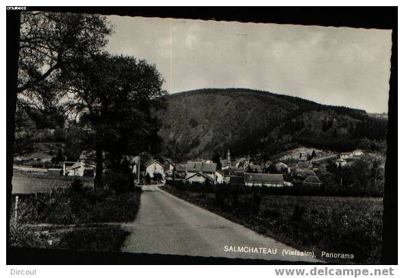 3030 - Salmchateau - Vielsalm  Pano - Vielsalm