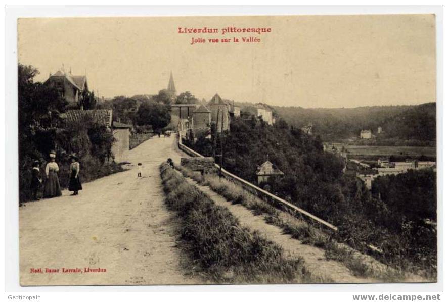 H19 - LIVERDUN - Jolie Vue Sur La Vallée (carte Animée) - Liverdun