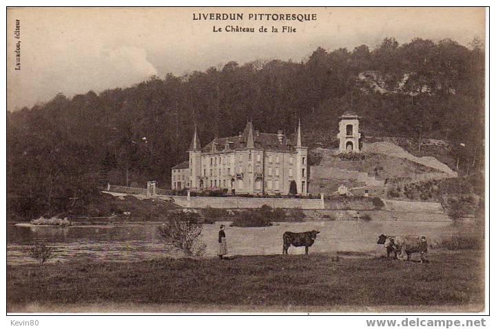 54 LIVERDUN Le Château De La Flie Cpa Animée - Liverdun