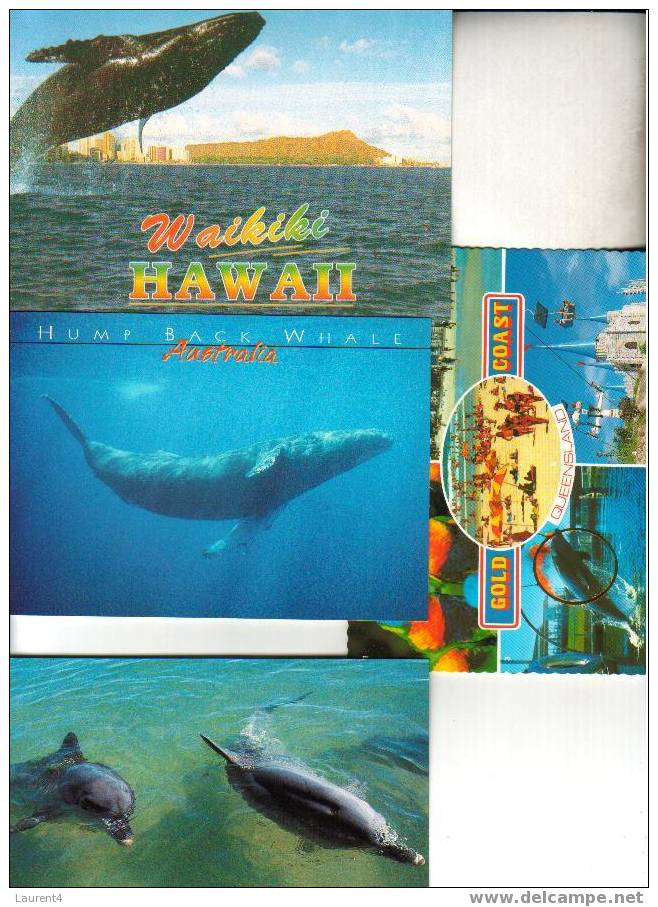 4 X Dolphin & Whale Postcard - 4 Carte De Dauphin - Balaine - Dolfijnen