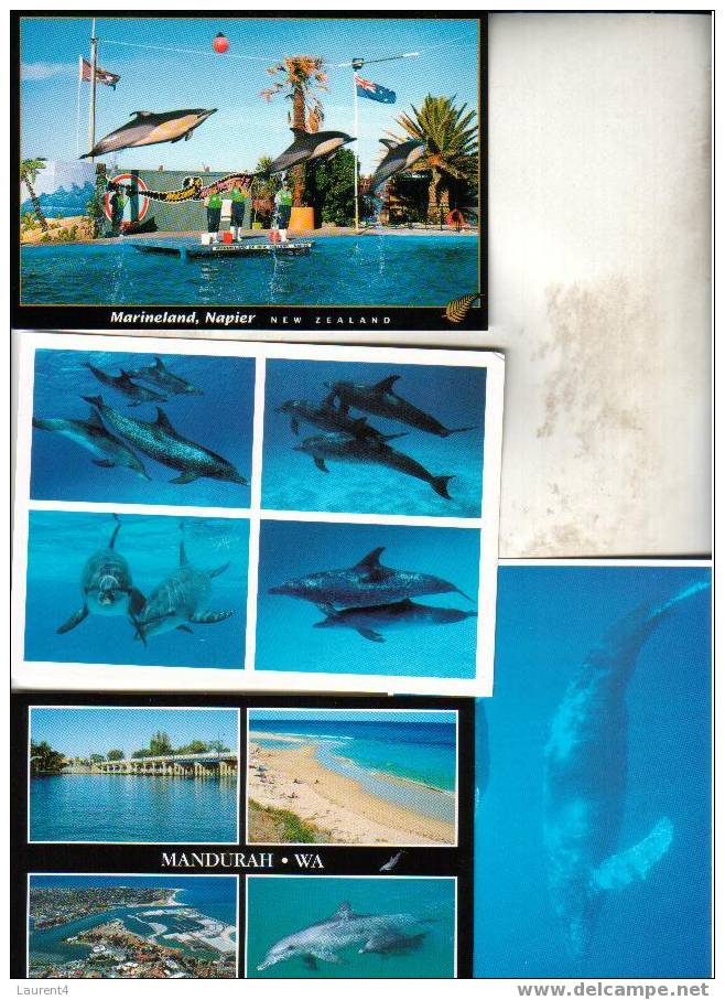 4 X Dolphin & Whale Postcard - 4 Carte De Dauphin - Balaine - Delphine