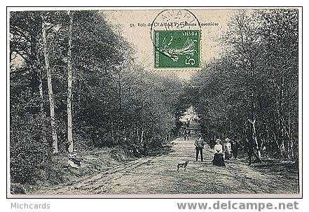 CPA 92 Bois De CLAMART - Route Forestiere - Clamart