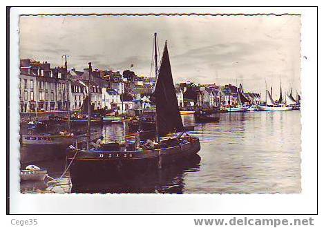 29 Douarnenez - Tréboul - Le Port - CPSM P Format - Douarnenez