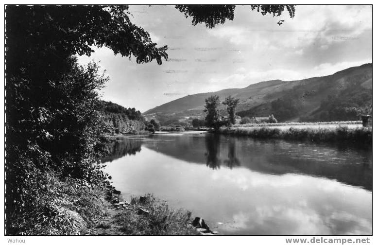 BIRIATOU  -   Route De BEHOBIE,      La Bidassoa      (carte Noir Et Blanc Ayant Voyagé En 1953 - Biriatou