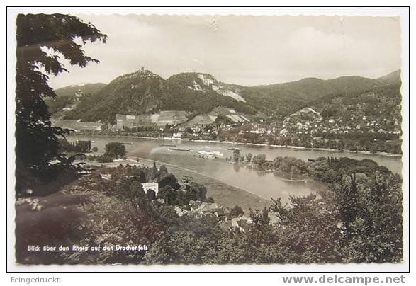 D 2661 - Blick über Den Rhein Auf Den Drachenfels - Foto Ak V. Hans Hartz, Gelaufen - Drachenfels