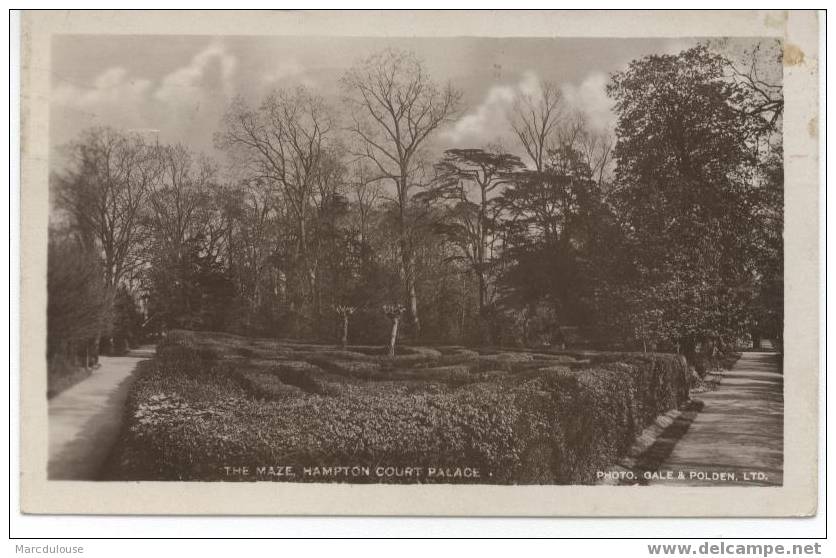 London. The Maze, Hampton Court Palace. - London Suburbs